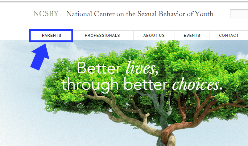 Representation of the NCSBY.org website